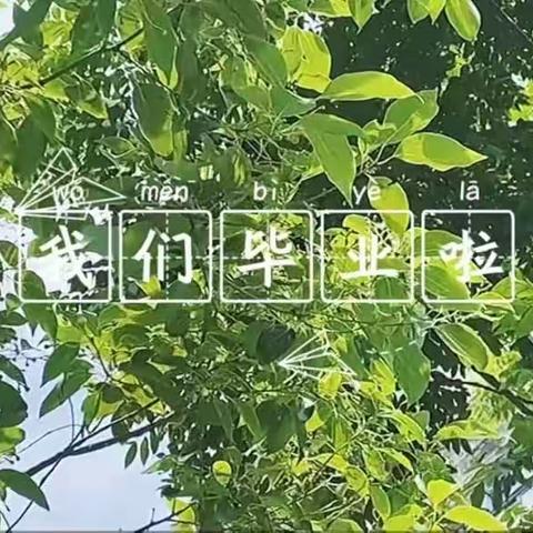 爱·礼别     梦·启航——堤村学校2023届小学毕业典礼纪实