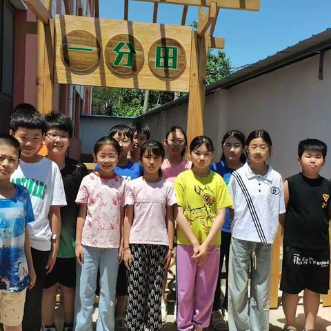 【七彩课程】“实践一分田，劳动促成长”--枣强县第七小学劳动教育评价