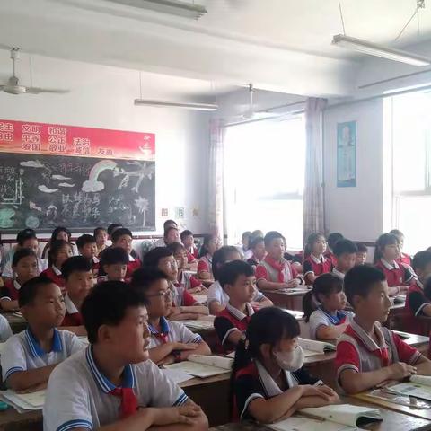 三雁工程进行时–大营中心小学“雏雁”复习观摩交流活动