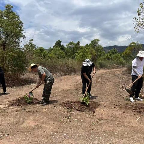 海口镇：做“绿美乡村”建设者 义务植树行动中