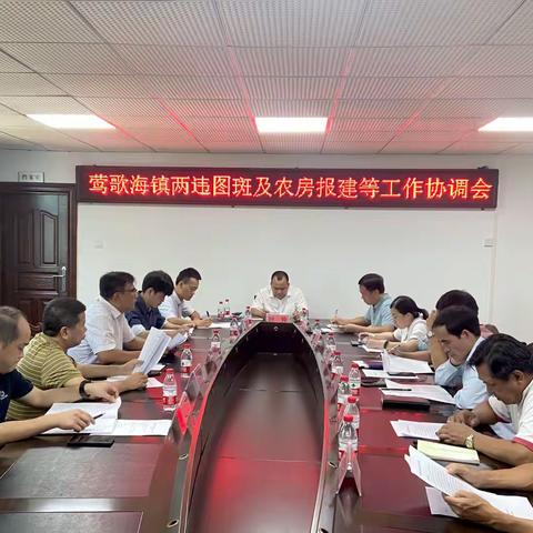 【大兴调研之风】钟帅副县长到莺歌海镇召开两违图斑及农房报建工作协调会议