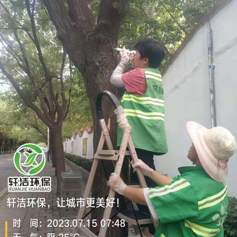 给树打针保护树木健康成长