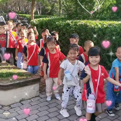 寻找秋天，感受自然﹣﹣哈佛精英幼儿园中五班秋游