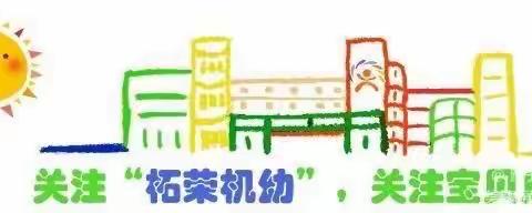 【机幼风采】快乐家园，理想起点——中三班幼儿成长记