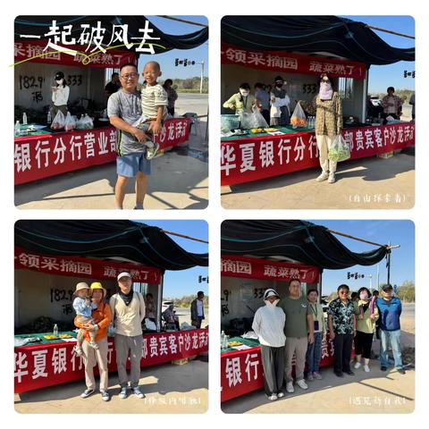 分行营业部组织开展八月采摘活动