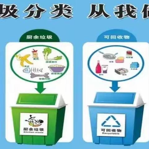 垃圾分类，从你我做起——玉州区东环小学2007班垃圾分类研学活动