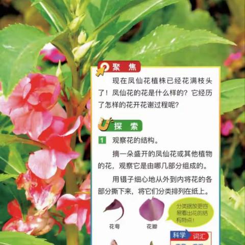 “小小科学家”招募啦