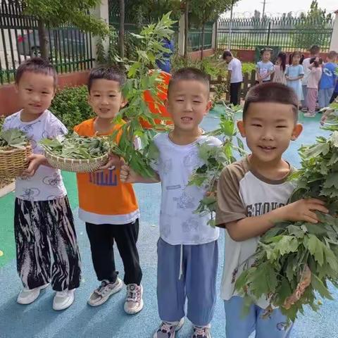 高青县常家学区中心幼儿园中二班“艾”上端午节主题活动