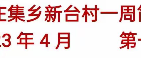 新庄集乡新台村一周工作简报