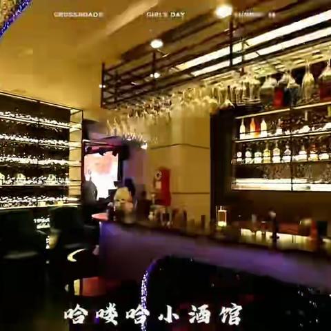哈喽哈 小酒馆 正式🈺️业