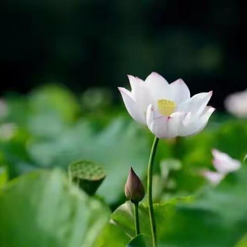 收获成长，未来可期