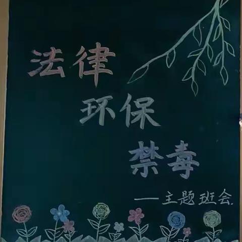 “法律、环保、禁毒”主题班会