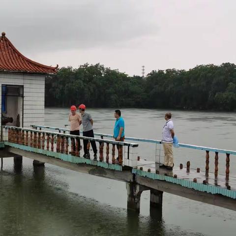 那大镇军屯村委会开展防风防汛安全防范工作