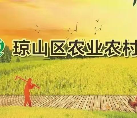 琼山区农业农村局开展农机安全生产隐患排查整治工作