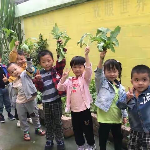 “劳动最光荣，我们在行动”——河西好孩子幼儿园中班五一劳动节主题活动