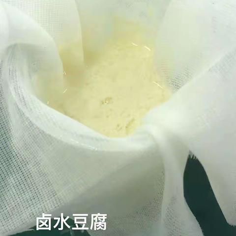 研究课：豆腐的制作