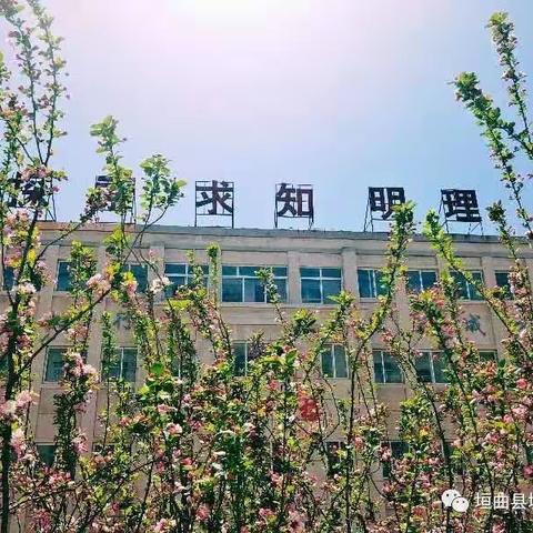 社”彩纷呈，“团”聚成长——城西小学社团活动阶段性展示之美术社团￼