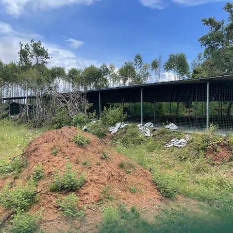 依法打击抢建行为，维护良好用地秩序