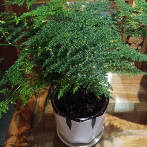 2023年6月25日西安大悦城店早开市