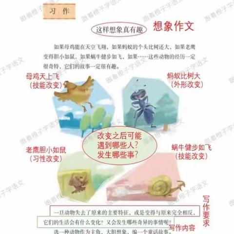 这样想象真有趣🧚——临汾黑马弘毅学校《一课一写，越写越爱》三年级学生习作分享（五十二期）