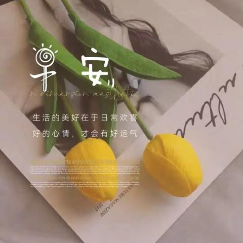 🌷通达快乐大三班🌷