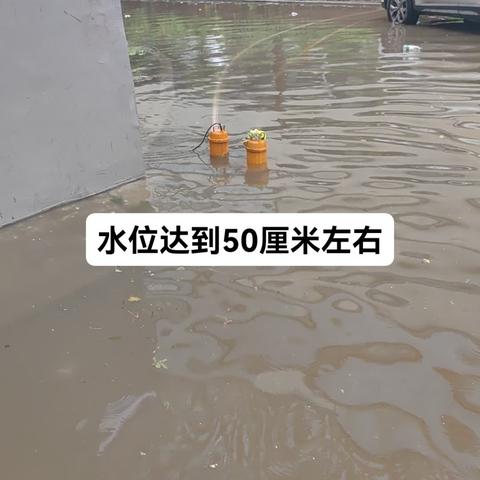 泽麟社区，闻“汛”而动，全力应对强降雨