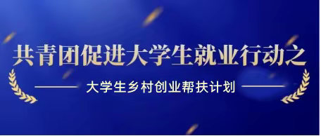 2023年镇安县共青团大学生创业帮扶计划