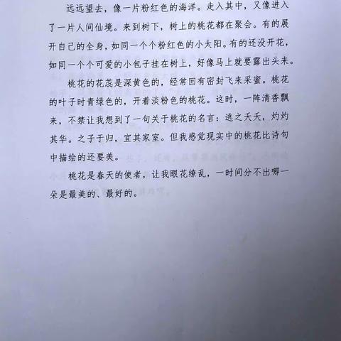 我的文字乐园和多彩的梦—三年级二班盖艾洣