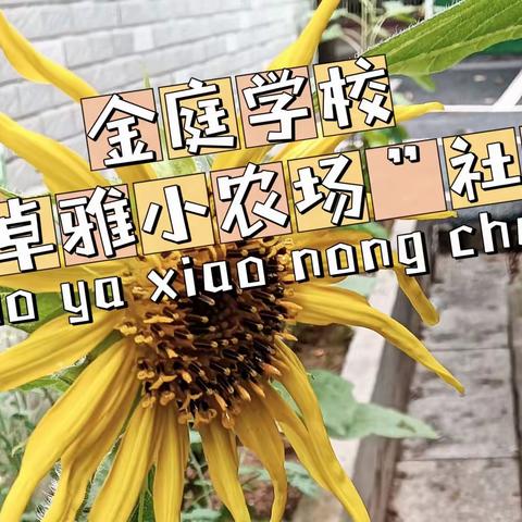 春暖花开，“植”得期待