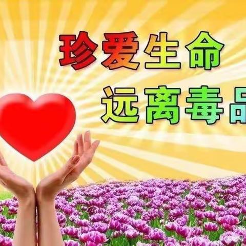 永阳学校禁毒知识宣传