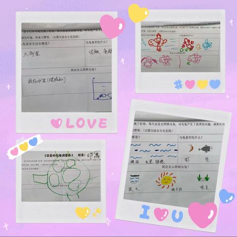 公园路幼儿园总部小三班课程故事—可爱的小乌龟🐢