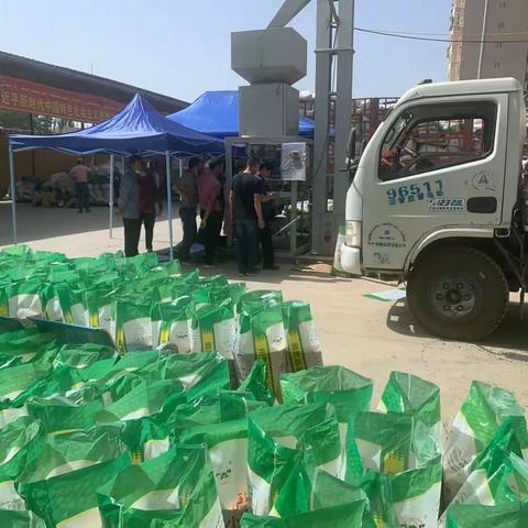 炎炎夏日，农发行全力服务良种收购纪实