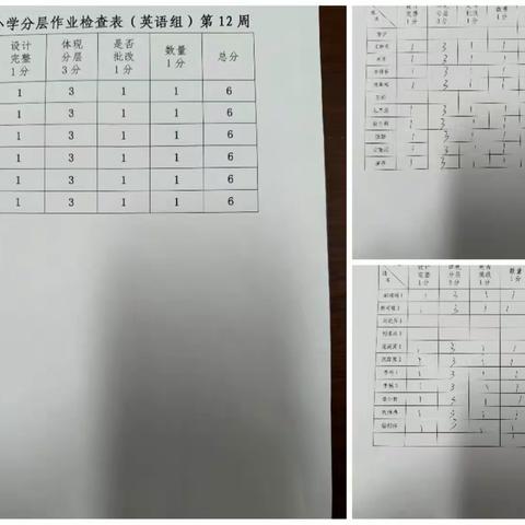 【党建领航+教务动态】碱柜村小学第十三周教务工作总结