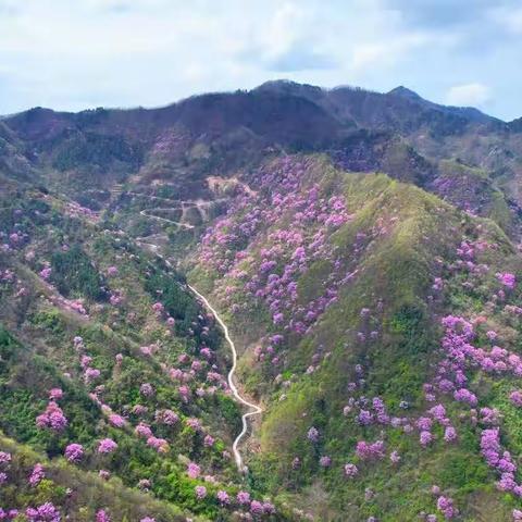 谷雨时节