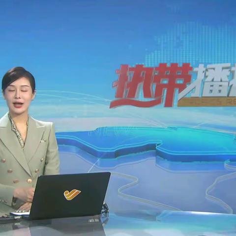 椰城税情：“春雨润苗”注活力 政企交流促发展