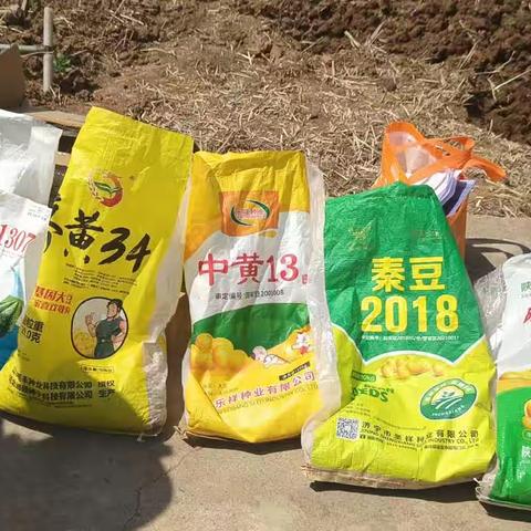 市县农技人员齐动手 大豆试验播种按期完成