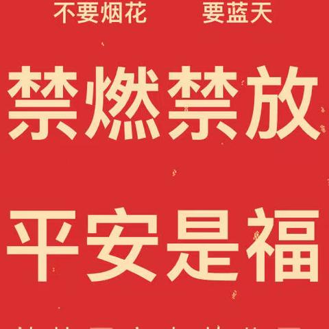 启明幼儿园禁止燃放烟花爆竹倡议书——大二班