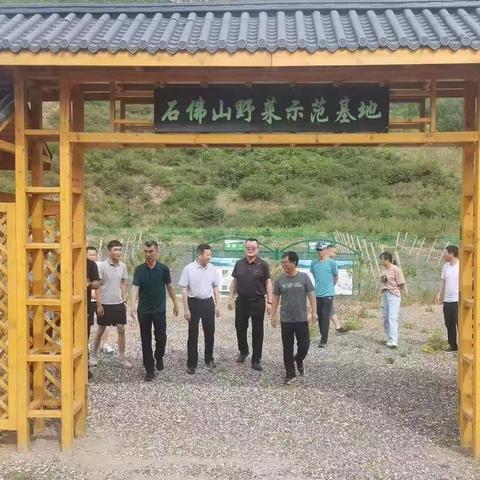 区人大督导组持续督导调研我区种子振兴等相关工作