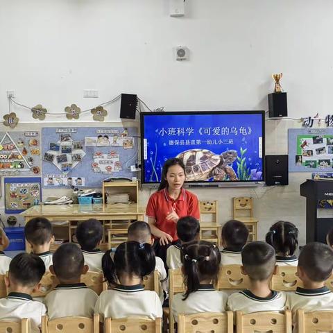 德保一幼小三班生成课程《可爱的乌龟》