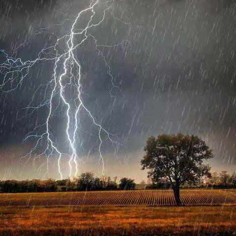 天津分公司迅速应对强降雨