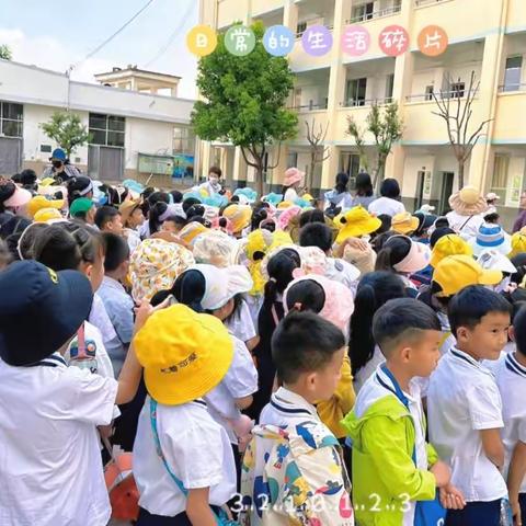 【钟灵毓秀】走进小学，赴一场成长之约——秀山中心幼小衔接之参观小学