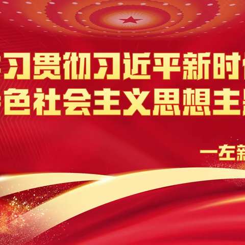 沧州中支营销员党员先锋队扎实推进学习贯彻习近平新时代中国特色社会主义思想主题教育