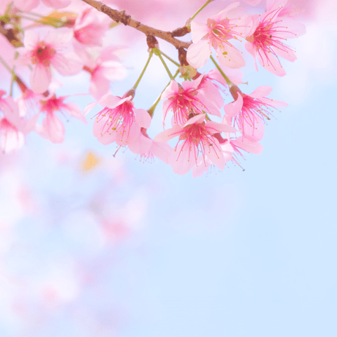 最后的突破(二)