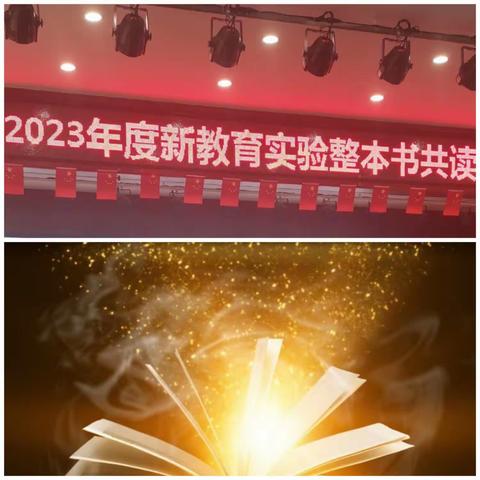 阅读书香  浸润成长——解放区2023年度新教育实验整本书共读研讨会