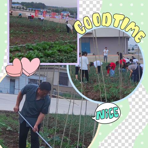 劳动促成长，实践助“双减”——胡力吐蒙古族乡学校依托劳动教育为“双减”赋能