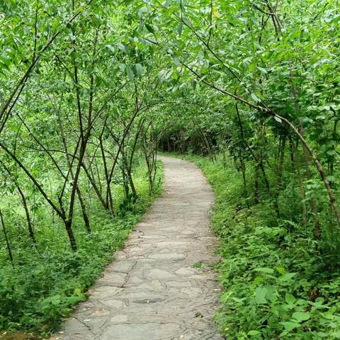 施州民族小学暑假安全温馨提示