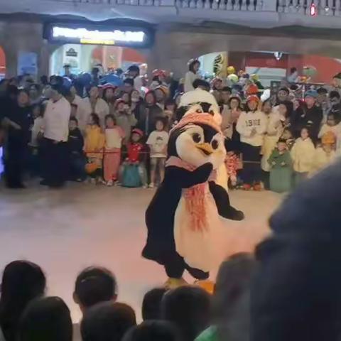县直初中219班侯俊豪郑州游记