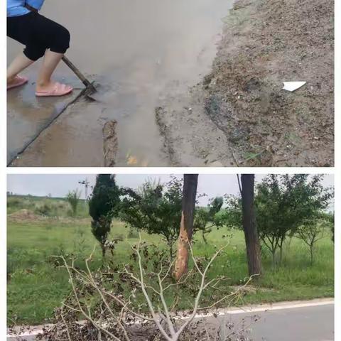 龙王庙村雨后巡查