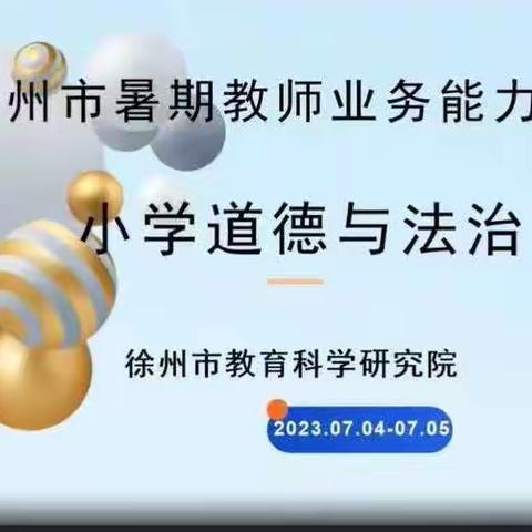 睢宁县第二小学暑期教师业务能力培训———小学道德与法治