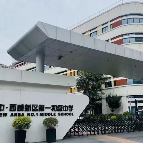 近学善思得芳华之妙，察旨品趣尽学养之识——新时代班主任工作创新与专业素养提升研修简报（四）